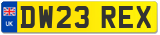 DW23 REX