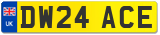 DW24 ACE