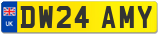 DW24 AMY