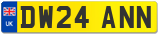 DW24 ANN