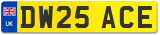 DW25 ACE