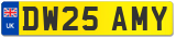 DW25 AMY