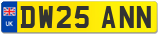 DW25 ANN