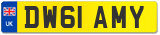 DW61 AMY