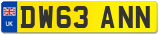 DW63 ANN