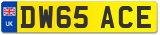 DW65 ACE