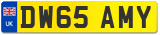 DW65 AMY