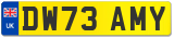 DW73 AMY