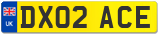 DX02 ACE