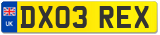 DX03 REX