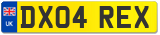DX04 REX