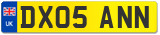 DX05 ANN