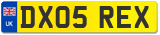 DX05 REX