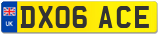 DX06 ACE