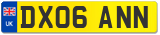 DX06 ANN