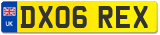 DX06 REX