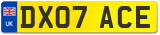 DX07 ACE
