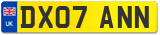 DX07 ANN