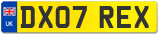DX07 REX