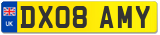 DX08 AMY