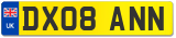 DX08 ANN