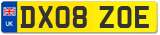 DX08 ZOE