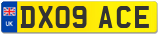 DX09 ACE