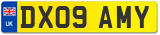 DX09 AMY