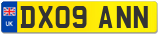 DX09 ANN