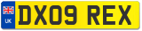 DX09 REX