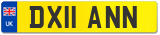 DX11 ANN