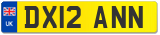 DX12 ANN