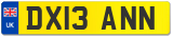 DX13 ANN