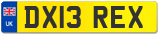 DX13 REX