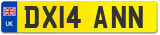DX14 ANN