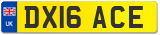 DX16 ACE