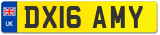 DX16 AMY