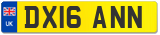 DX16 ANN