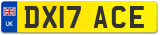DX17 ACE