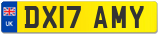 DX17 AMY