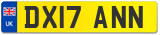 DX17 ANN