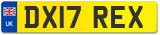 DX17 REX