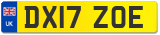 DX17 ZOE