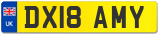 DX18 AMY