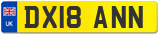 DX18 ANN
