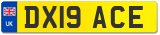 DX19 ACE