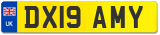 DX19 AMY