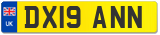 DX19 ANN