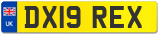 DX19 REX
