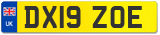 DX19 ZOE
